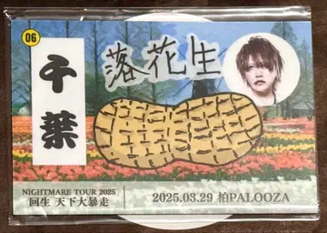 NIGHTMARE 지역 마그넷 치바 황천