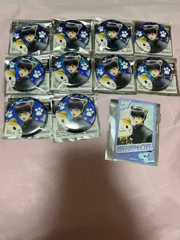 3년 Z반 긴파치 선생님 시무라 신파치 캔뱃지 사진풍 카드 11점