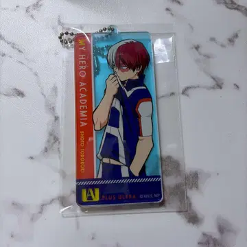 히로아카 토도로키 쇼토 아크링 키링