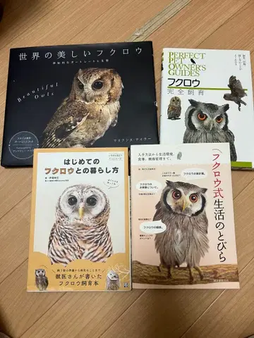 올빼미 관련 서적 세트