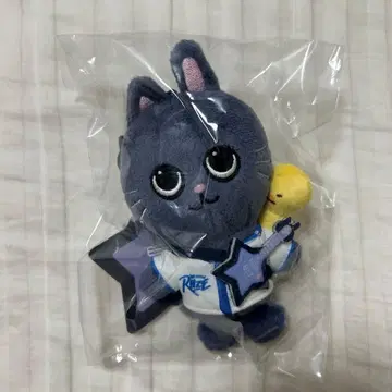 LITTLE RIIZE KEY RING 원빈 토냥독