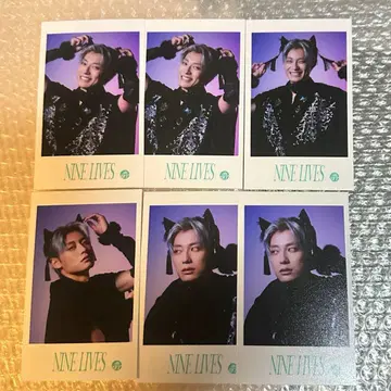 초특급 Aloha NINE LIVES 미니 사진 6장 세트