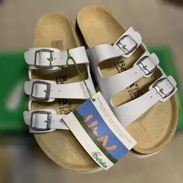 Betula 베라 Woogie 우기 074323