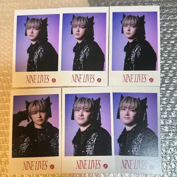 초특급 유키 미니 사진 NINE LIVES