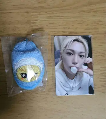 스키즈 필릭스 사우나 온라인 복권