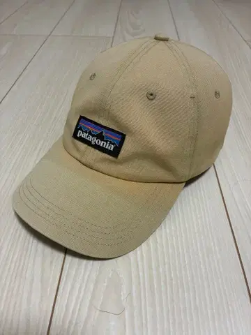 Patagonia P-6 트레디셔널 캡