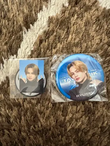 카이누마 류세이 스티커 캔뱃지