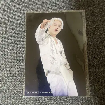 SEVENTEEN 에스크포토 EXHIBITION 입장 혜택