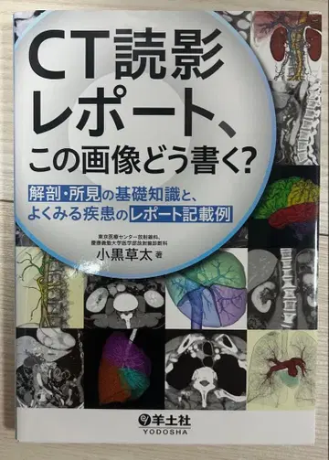 CT 판독 리포트, 이 이미지는 어떻게 작성할까?