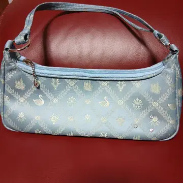 케이타 마루야마 백조 백