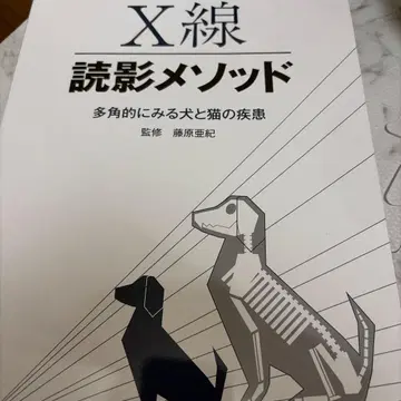 X선 판독 메소드