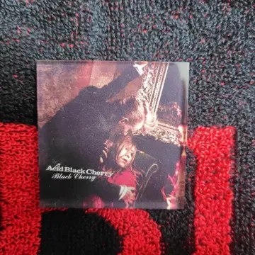 Acid Black Cherry 아크릴 마그넷 Black Cherry