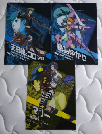 페르소나 클리어 파일 3세트