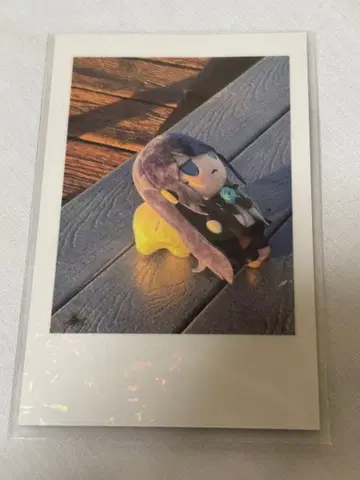 Ado 요다카 폴라로이드풍 트레이딩 카드 시크릿