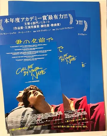 너의 이름으로 나를 불러줘 팜플렛 플라이어 엽서