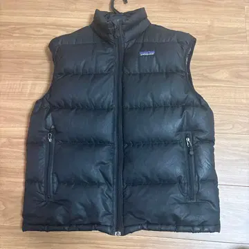 파타고니아 다운 베스트
