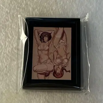 체인소 맨 마키마 레제 마그넷