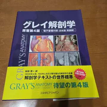 그레이 해부학