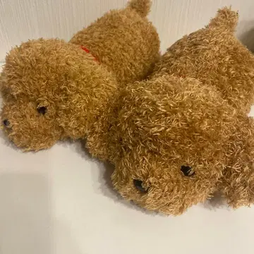 토이 푸들 봉제 인형