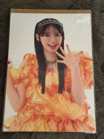 후르츠 지퍼 오스즈 프릴 디자인 포스터 A3