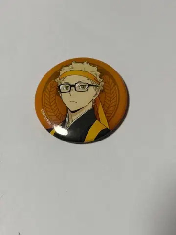 하이큐 츠키시마 케이 캔뱃지 10개