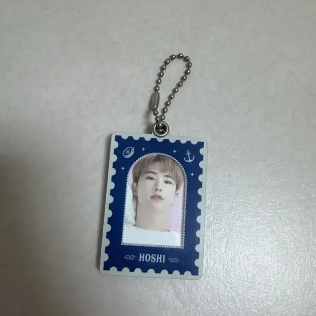 아티스트 메이드 컬렉션 세븐틴 호시 키링 급처