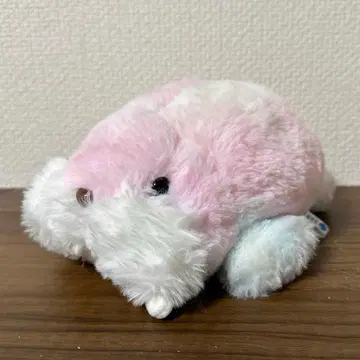 수족관 우미타마고 바다코끼리군 컬러풀 봉제 인형