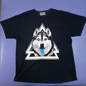 THE TEST 셔츠 허스키 개