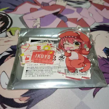 봇치 더 록! 키타 이쿠요 돈키호테