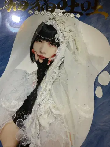 아노짱 ano 고양이 고양이 토토 앨범