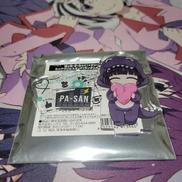 봇치 더 록! PA 씨 돈키호테