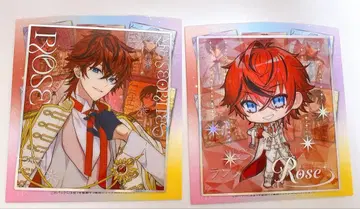 메테오라 클리어 색지 로제 군 1st Anniversary 세트