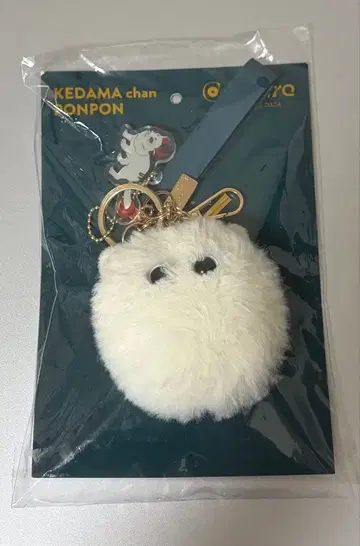 Eve culture 케다마짱 폼폼