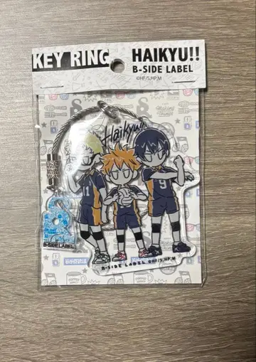 하이큐!! B-SIDE LABEL 아크릴 키링