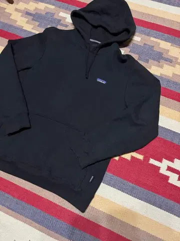 파타고니아 후드티