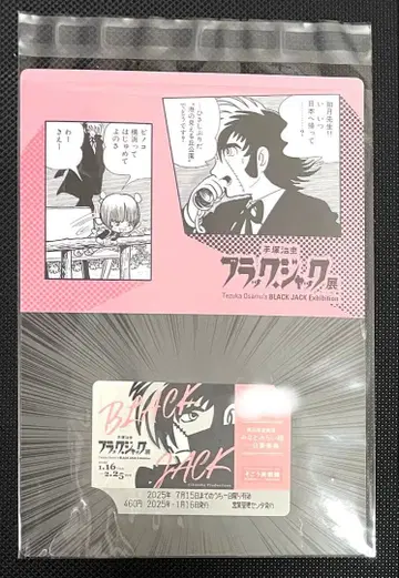 블랙잭 전시회 미나토미라이선 1일 승차권