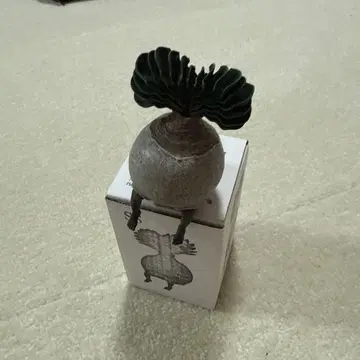 새상품 SS OZWRT 부판맨 오즈와트