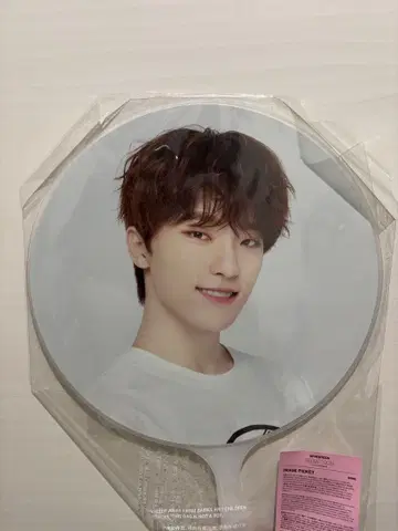 SEVENTEEN carat land 케렌 2023 디노 부채