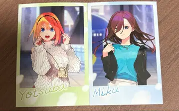 5등분의 신부 AKIBA 폴라로이드 미쿠 네잎