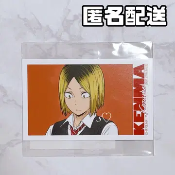 하이큐 토부 동물공원 동물과의 교감 BOX 특전 비주얼 카드 코즈메