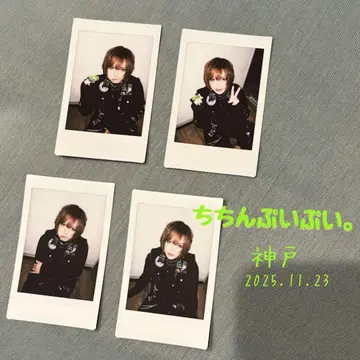 달콤한 폭력 분상 폴라로이드