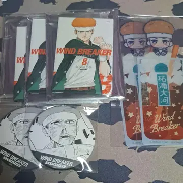 WIND BREAKER 전 츠지카와 타이거 캔뱃지 마그넷 세리아 아크릴