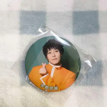 철뮤 청춘철도 가냐가냐 캔뱃지 우쓰노미야선 이나가키 세이야 철라이