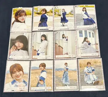 사쿠라자카46 타무라 호노 브로마이드 컴프 12장 세트