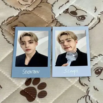 seventeen NEW 인스턴트 사진 에스쿱스