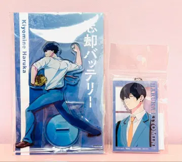 망각 배터리 청봉하류화 아크릴 스탠드 피규어 아크릴 스탠드 빅 택