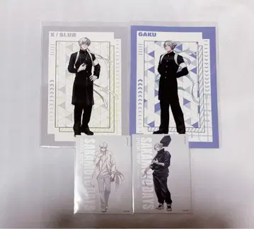 사카모토 데이즈 아리츠키 케이 라쿠