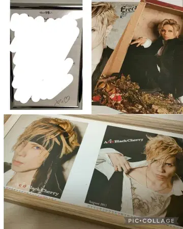 AcidBlackCherry yasu 편지 엽서 마드모