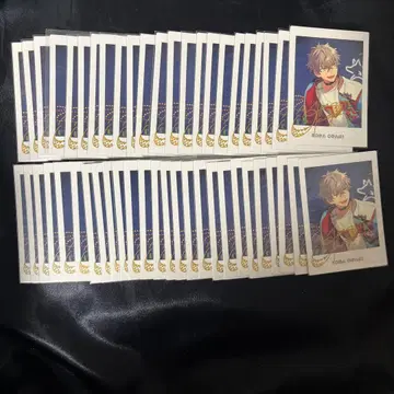 앙스타 오오가미 코가 파샤츠