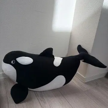 빅 범고래 봉제 인형 Big